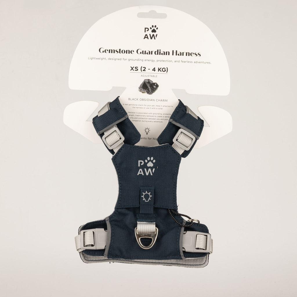 Pettorina Guardian grigio roccia con ciondolo in ossidiana nera – taglia XS (2–4 kg)
