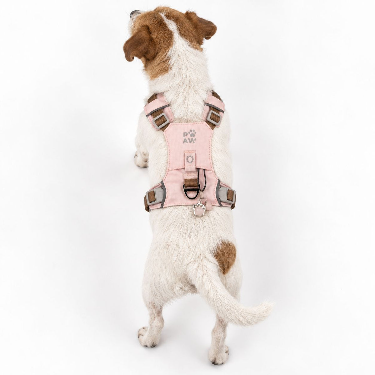 Pettorina Guardian rosa cipria con ciondolo in quarzo rosa – taglia S (4–8 kg)