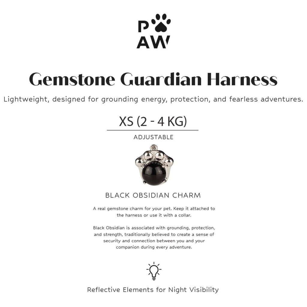 Pettorina Guardian grigio roccia con ciondolo in ossidiana nera – taglia XS (2–4 kg)