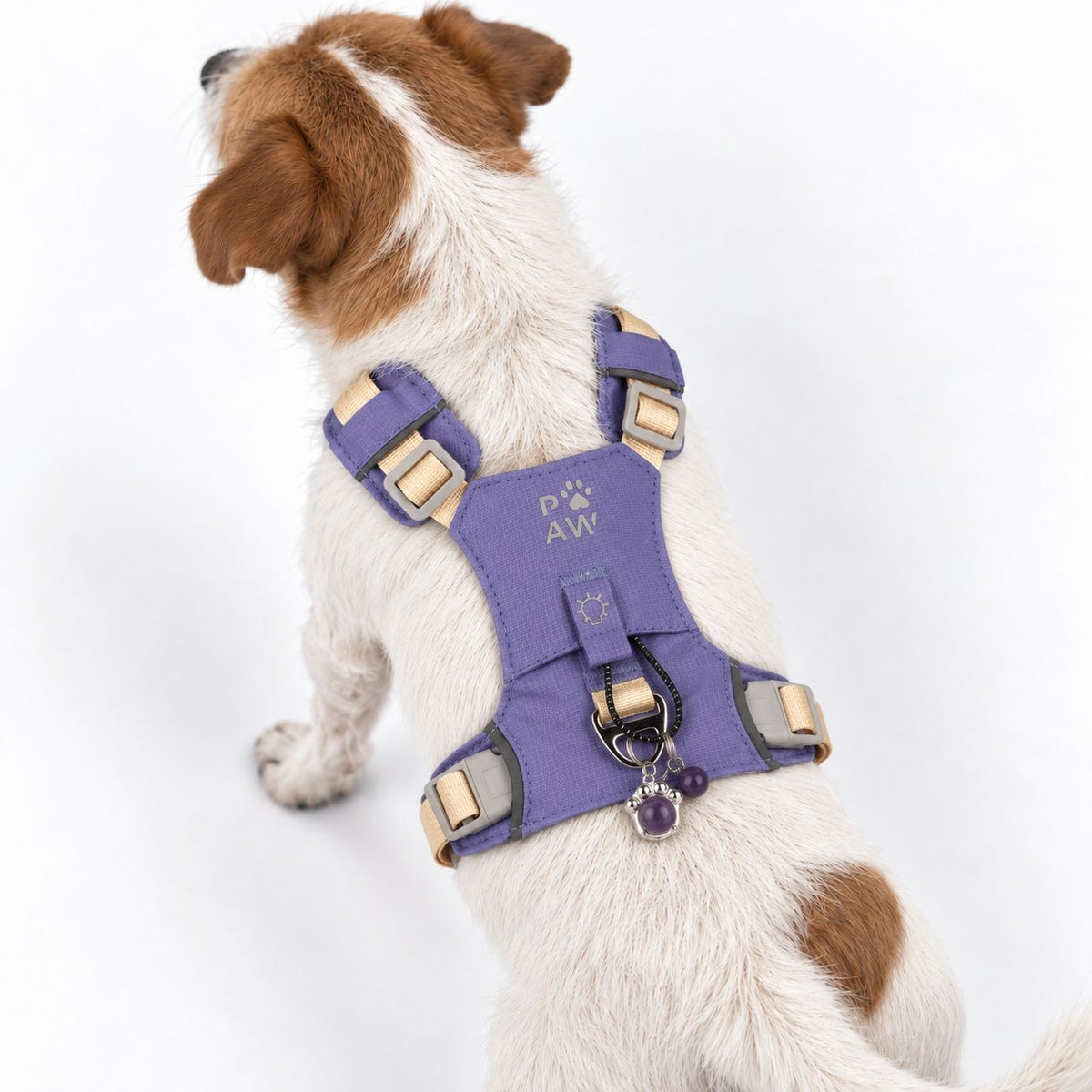 Pettorina Guardian lavanda con ciondolo in ametista – taglia S (4–8 kg)