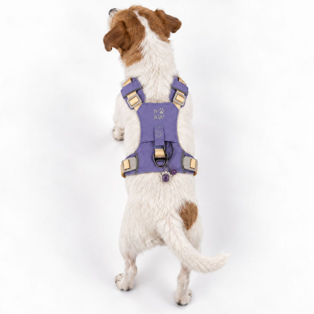 Pettorina Guardian lavanda con ciondolo in ametista – taglia S (4–8 kg)