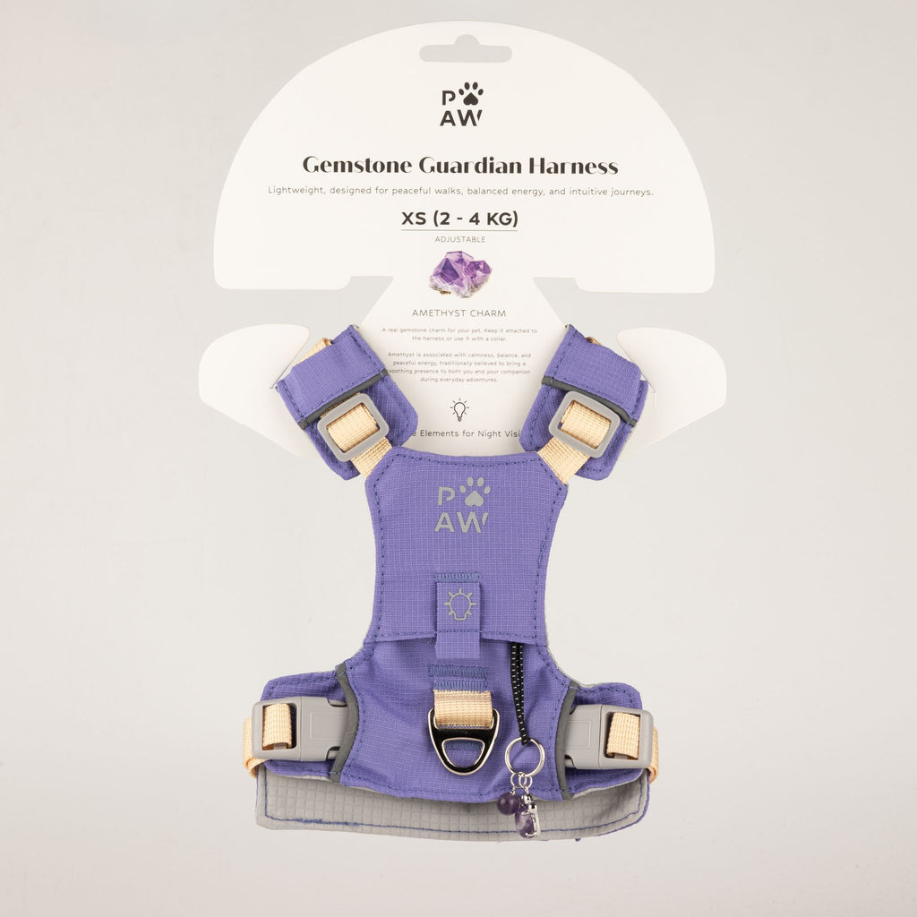 Pettorina Guardian lavanda con ciondolo in ametista – taglia XS (2–4 kg)