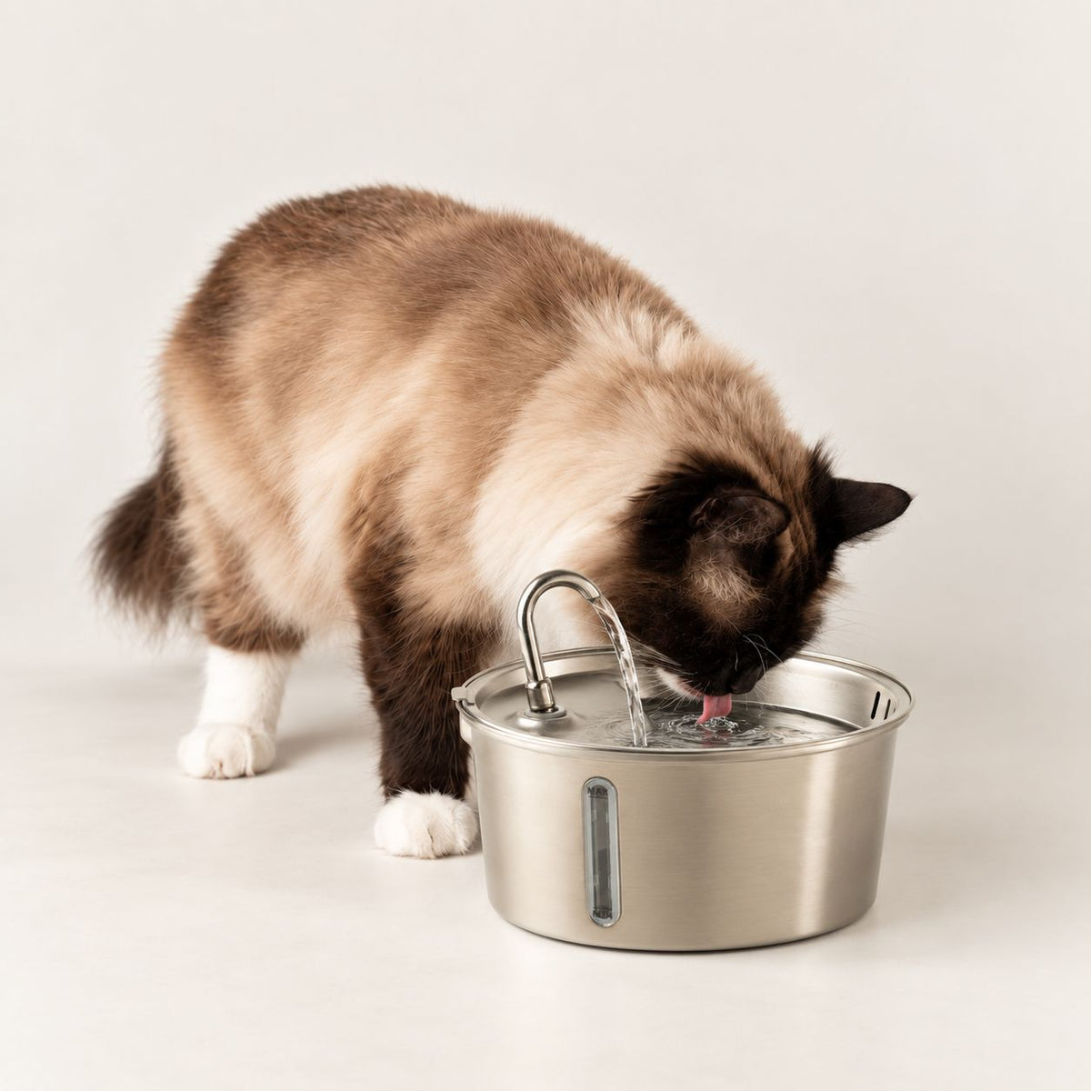 Fontanella elettrica per animali in acciaio inox – 2,5 litri, USB