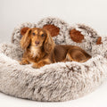 Cuccia a forma di zampa Big Paw – grande, 70 cm