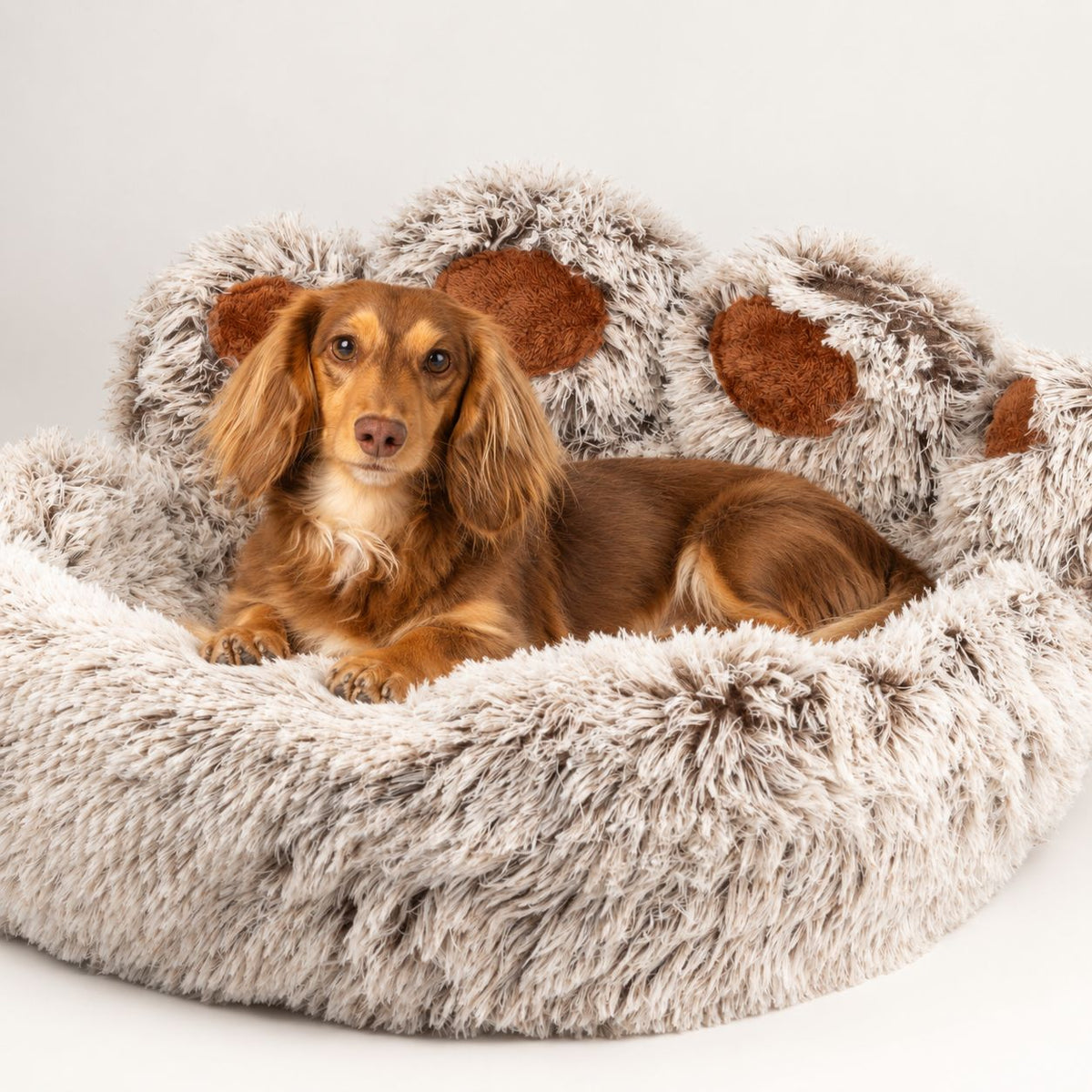 Cuccia a forma di zampa Big Paw – grande, 70 cm