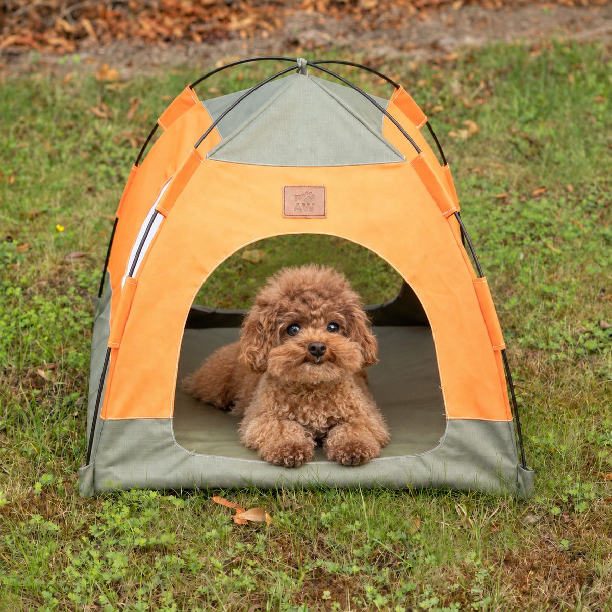 Cuccia a tenda verde e arancione – 48 × 48 × 40 cm
