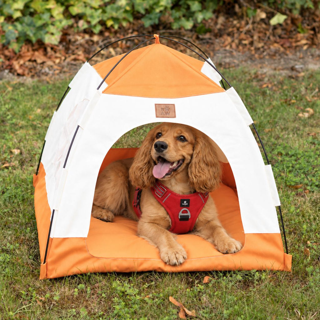 Cuccia a tenda beige e arancione – grande, 58 × 58 × 48 cm