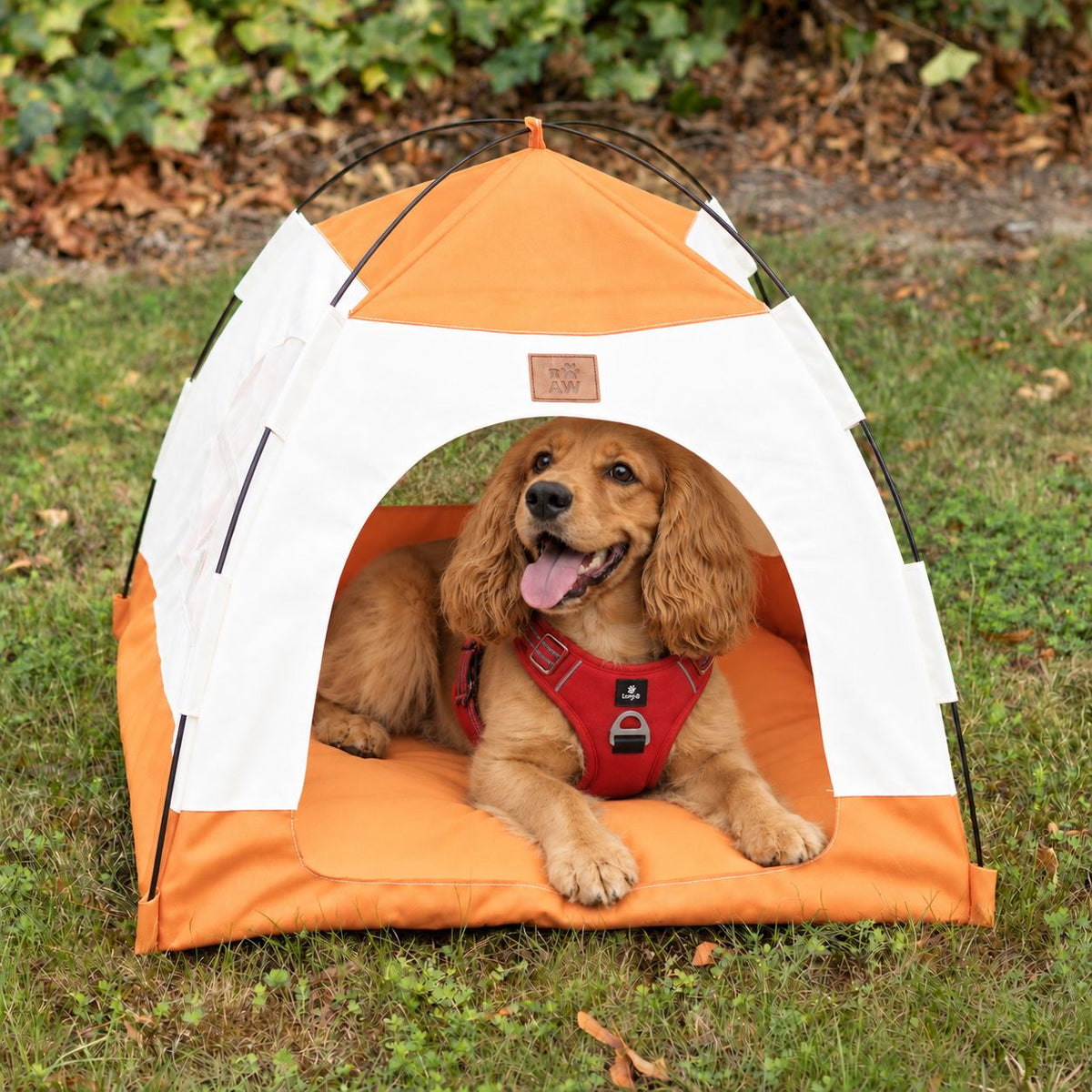 Cuccia a tenda beige e arancione – grande, 58 × 58 × 48 cm