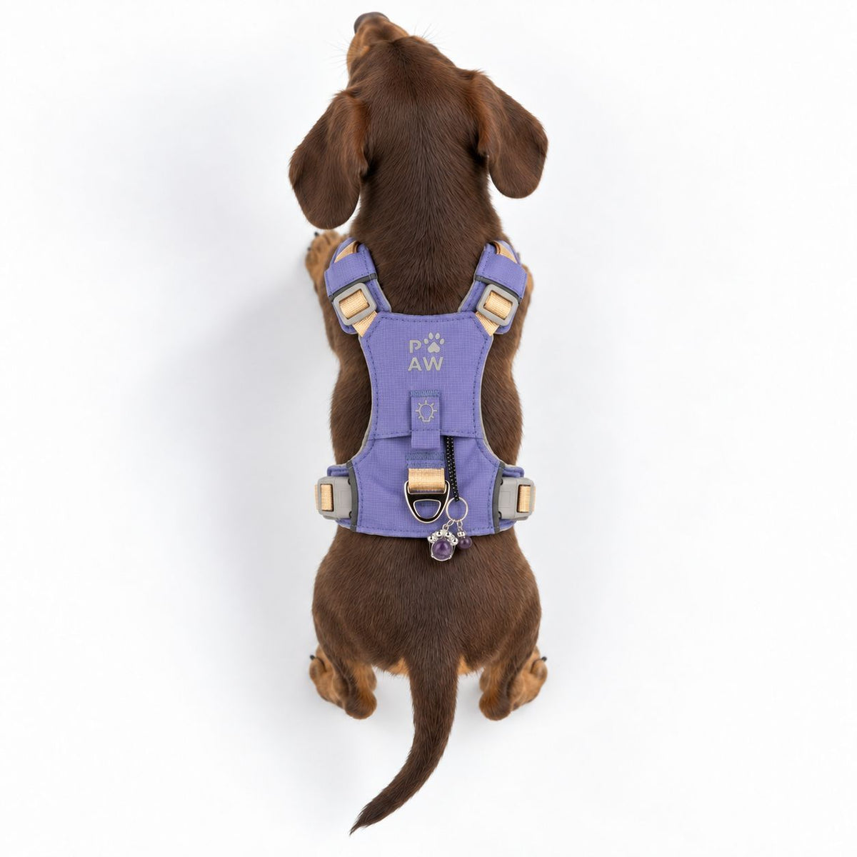 Pettorina Guardian lavanda con ciondolo in ametista – taglia XS (2–4 kg)