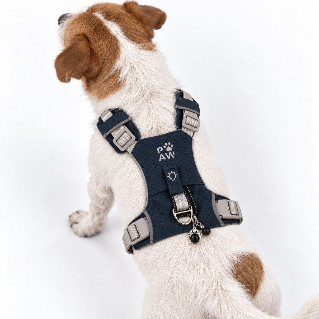 Pettorina Guardian grigio roccia con ciondolo in ossidiana nera – taglia S (4–8 kg)