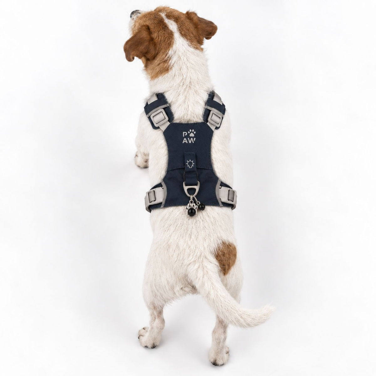 Pettorina Guardian grigio roccia con ciondolo in ossidiana nera – taglia S (4–8 kg)