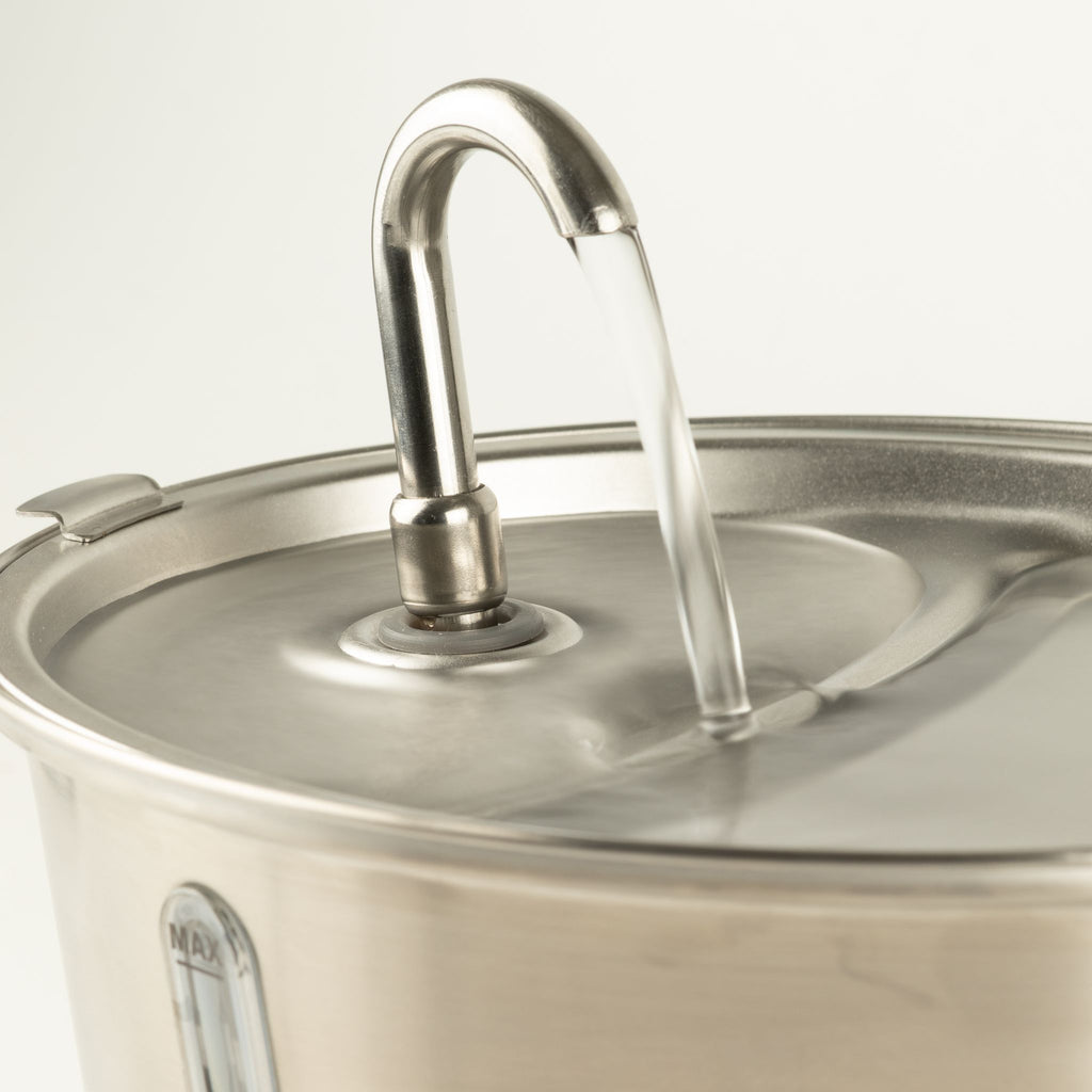 Fontanella elettrica per animali in acciaio inox – 2,5 litri, USB