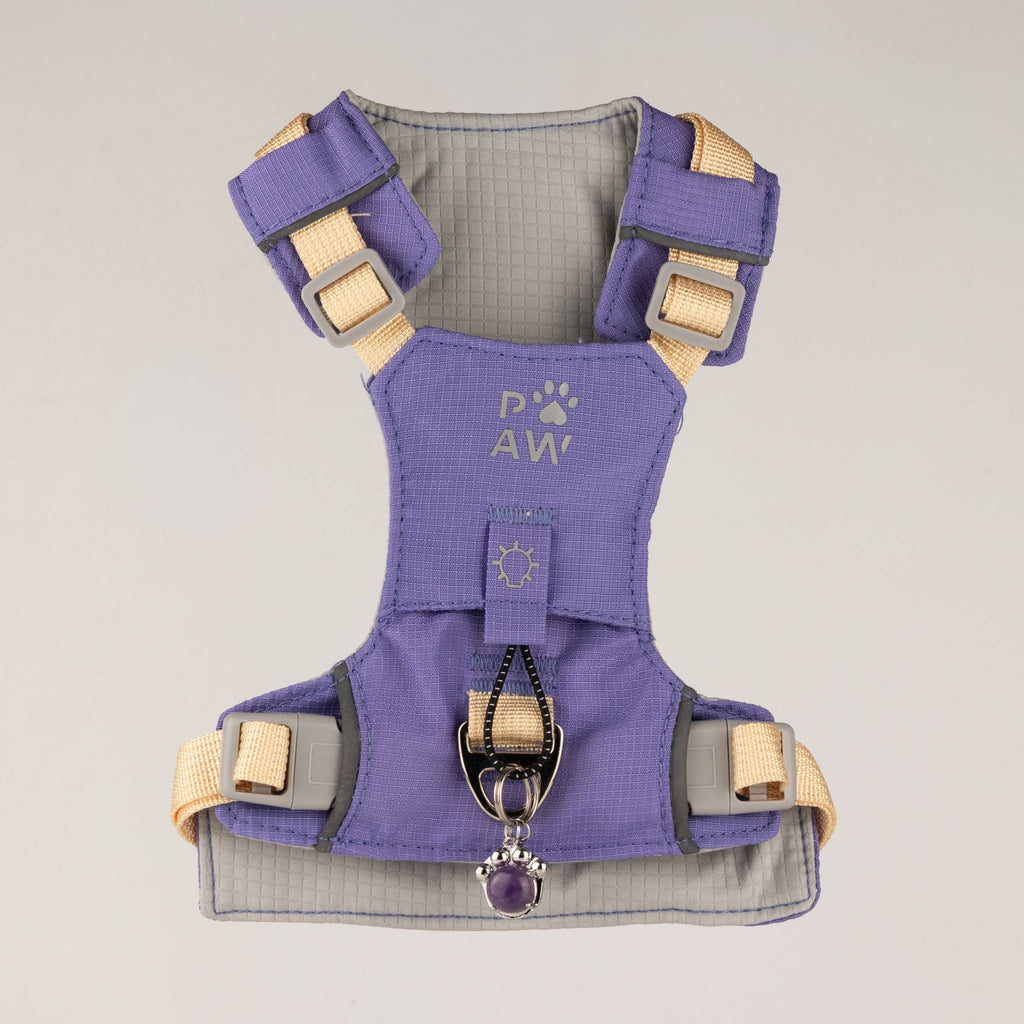 Pettorina Guardian lavanda con ciondolo in ametista – taglia S (4–8 kg)